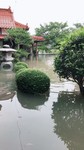 水害被害03